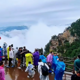 张家界市：杨家界峰墙伴云海 游客雨中赏景