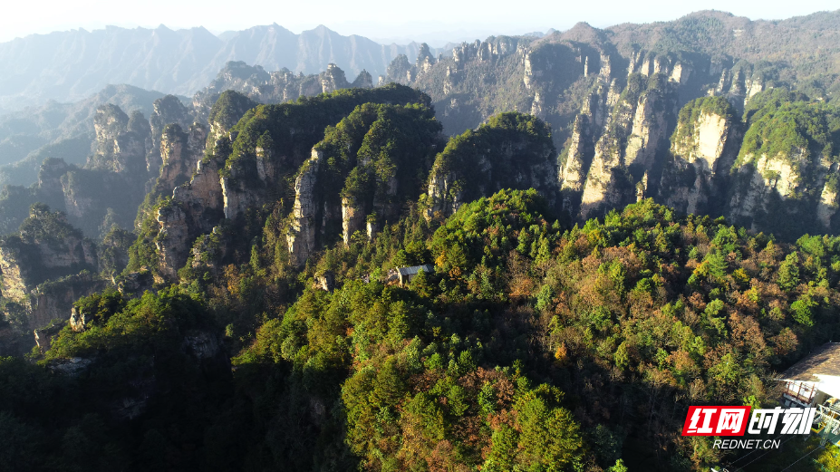 张家界：最是一年好风景，正是橙黄橘绿时