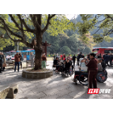 张家界国家森林公园：游览无障碍 景区更有爱