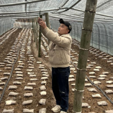 新春走基层·小镇青年丨向毅：我与故土产业发展的双向奔赴