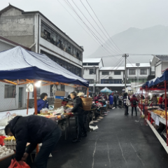 永定区合作桥乡：迎雪而战保平安 未雨绸缪防垮塌