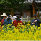 张家界黄龙洞景区春暖花开游人醉 （图）