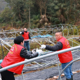 湖南桑植县：“红马甲”现身田间地头 用行动撑起菌菇“致富伞”