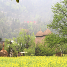 张家界黄龙洞景区：清明出游，邂逅最美春光（组图）
