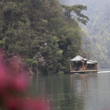 张家界：清明游宝峰湖 （组图）