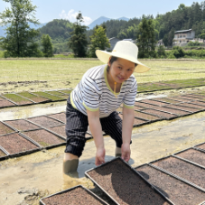 科技工作者说 |谢春凤：当好“推广员” 让新技术进村入户到田