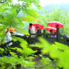 【“五一”游张家界】景美游人欢，张家界黄龙洞景区雨中迎来客流高峰