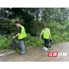 张家界国家森林公园袁家界景区：全员清洁日 共筑绿色文明旅游新篇章