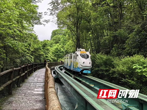 张家界：12生肖电车穿梭“森林隧道”