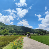 盛夏时节，张家界黄龙洞景区田园风光醉游人