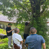 张家界武陵源风景名胜区和国家森林公园管理局启动国有林场珍贵乡土树种种质资源调查工作