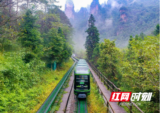 张家界国庆旅游攻略：乘观光电车 赏十里画廊