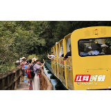 张家界国家森林公园 ：十里画廊游人多 初秋赏景正当时