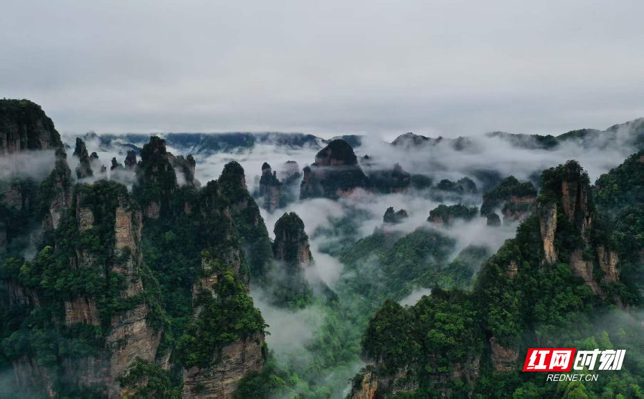 张家界国家森林公园：仙境之约 山水诗篇