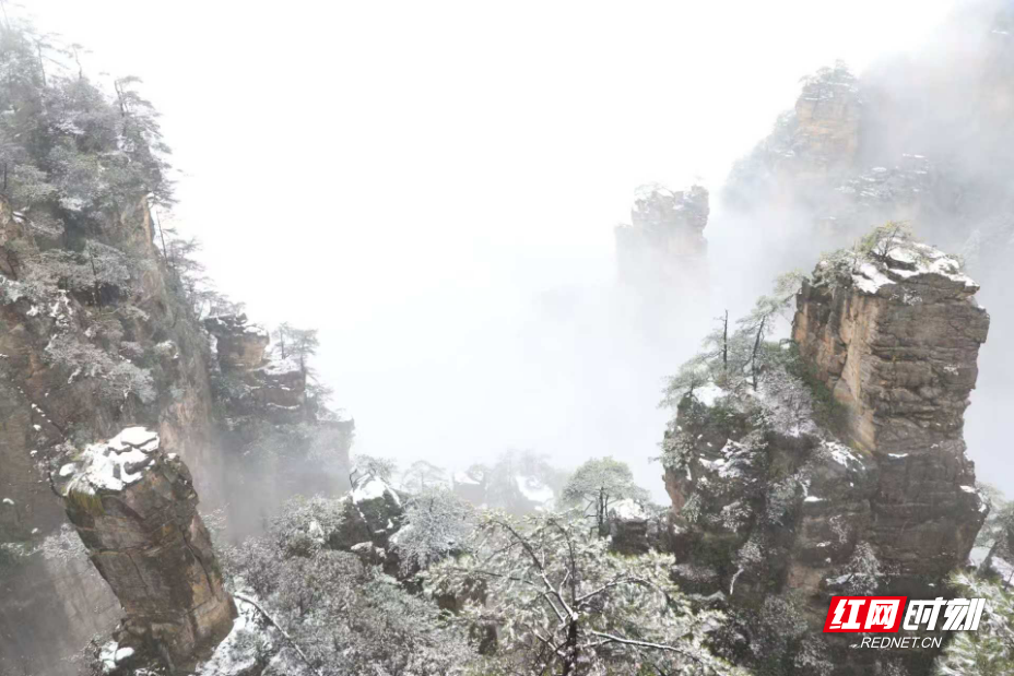 张家界国家森林公园再降春雪 景区梦幻“换装”