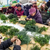 让留守妇女家门口灵活就业 张家界武陵源“妈妈零工帮扶车间”新年开工