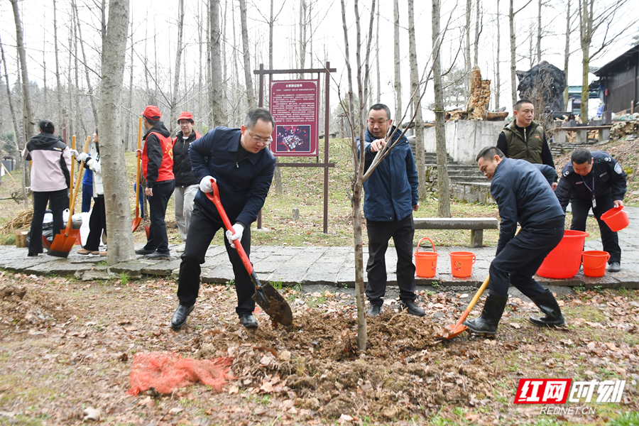 张家界武陵源开展义务植树活动 共建绿色生态景区‌