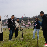 张家界国家农业科技园区：科技特派员助力春耕 乡村振兴跑出“加速度”