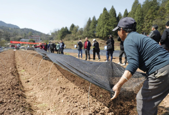 春耕时节，田间地头来了科技特派员