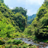 人间四月天，踏青白虎堂