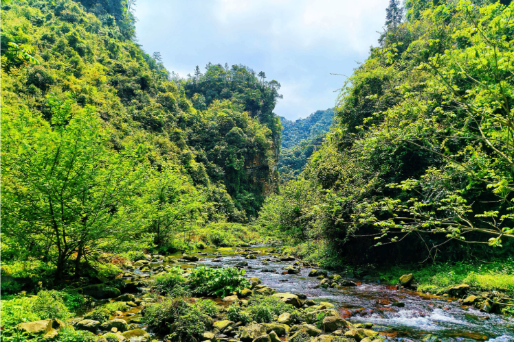 人间四月天，踏青白虎堂