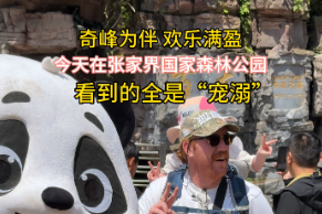 张家界宠游客 | “五一”打卡张家界国家森林公园，花式宠游客太暖心！