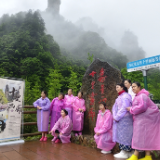 张家界国家森林公园：烟雨十里画廊，水墨峰林入画来