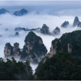 杨家界云海翻涌 峰墙隐现如仙境