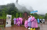 张家界国家森林公园：烟雨十里画廊，水墨峰林入画来