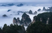 杨家界云海翻涌 峰墙隐现如仙境