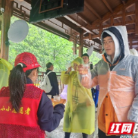 张家界宠游客｜张家界国家森林公园门票站关心下一代志愿服务：暖心姜茶递温情，小小志愿展风采