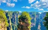 雾天寻仙问道 晴天勘探地貌 百变张家界尽显绝版风华