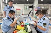 “食”不我待筑牢防线 张家界市全程严管护航“三考”