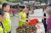 端午安康，佳节续暖｜吴家峪门票站暖心服务