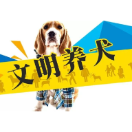 注意！衡阳市城市养犬管理办法来了