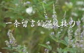 视频 | 一条留言的温暖接力