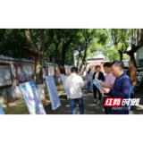 鼎城区镇德桥镇举行2020年国际减灾日宣传活动