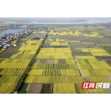 急民之所急 顺民之所愿 临澧推动巡视问题整改提升群众幸福感