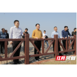 安乡：张阳督导检查珊珀湖综合治理工作