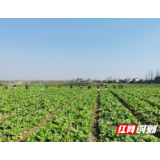 国网安乡县供电公司：生态养殖 绿色转型