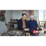 安乡：张阳到安全乡协安垸村调度脱贫攻坚