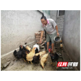 驻村日记丨王松涛：贫困户老陈的幸福脱贫路
