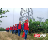 国网常德澧县供电公司：持续特巡特高压  保驾护航进博会