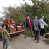 澧县：发展产业为扶贫造血  后续保障稳脱贫成效