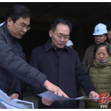安乡：张阳调度部分重点项目建设工作