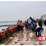 点赞！3千斤鱼苗甩落，常德西湖热心村民联手施救