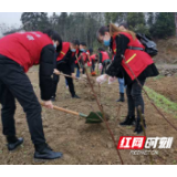 栽种绿色希望  共建美好家园   常德市自来水有限责任公司开展义务植树活动