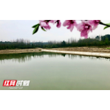 万象”耕”新看常德丨临澧县积极开展水利建设助力春耕生产