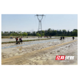 桃源：搭“鹊桥”出新招，扶贫生产两不误