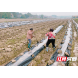 桃源：扶贫先扶志 幸福自己“挣”